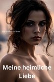 Meine heimliche Liebe (eBook, ePUB)