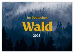 Im Deutschen Wald (Wandkalender 2026 DIN A2 quer), CALVENDO Monatskalender