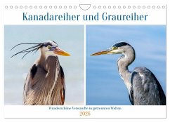 Kanadareiher und Graureiher (Wandkalender 2026 DIN A4 quer), CALVENDO Monatskalender Kanadareiher und Graureiher (Wandkalender 2026 DIN A4 quer), CALVENDO Monatskalender