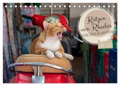 Katzen von Rhodos - Kleine Götter auf vier Pfoten (Tischkalender 2026 DIN A5 quer), CALVENDO Monatskalender