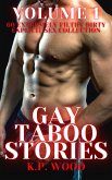 Gay Taboo Stories - Volume 1 (eBook, ePUB)