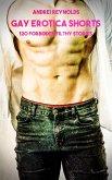 Gay Erotica Shorts - Volume 4 (eBook, ePUB)