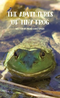 Cover The Adventures of Tiny Frog