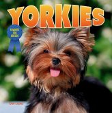 Yorkies