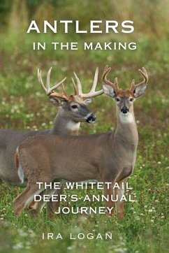 Cover Antlers in the Making