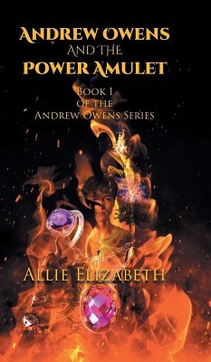 Cover Andrew Owens And The Power Amulet
