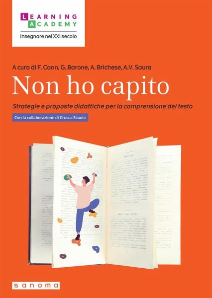 Non ho capito. Strategie e proposte didattiche per la comprensione del testo Non ho capito. Strategie e proposte didattiche per la comprensione del testo