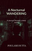 A Nocturnal Wandering