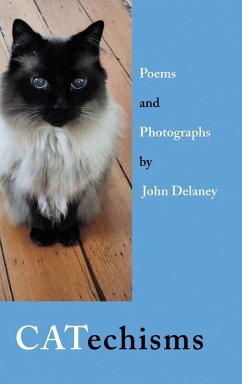 Cover CATechisms