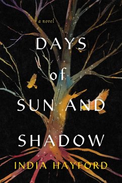 Cover Days of Sun and Shadow (eBook, ePUB)