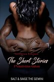 The Initiation Short Stories (eBook, ePUB)