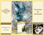 Two Dames Do the Danube (eBook, ePUB)