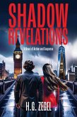Shadow Revelations (eBook, ePUB)