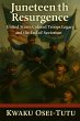 Juneteenth Resurgence: United States... - Bild 1