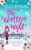 One Winter's Night (eBook, ePUB)