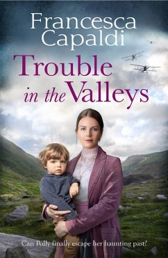 Cover Trouble in the Valleys (eBook, ePUB)
