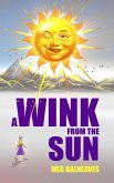 A Wink from the Sun (eBook, ePUB)