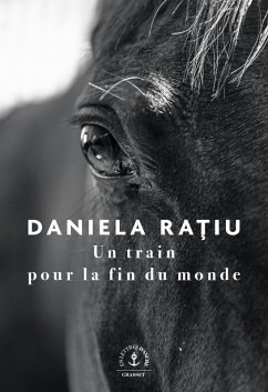Cover Un train pour la fin du monde (eBook, ePUB)