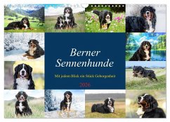 Berner Sennenhunde - Mit jedem Blick ein Stück Geborgenheit (Wandkalender 2026 DIN A3 quer), CALVENDO Monatskalender Berner Sennenhunde - Mit jedem Blick ein Stück Geborgenheit (Wandkalender 2026 DIN A3 quer), CALVENDO Monatskalender