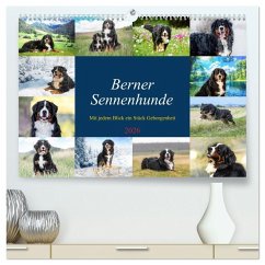 Berner Sennenhunde - Mit jedem Blick ein Stück Geborgenheit (hochwertiger Premium Wandkalender 2026 DIN A2 quer), Kunstdruck in Hochglanz Berner Sennenhunde - Mit jedem Blick ein Stück Geborgenheit (hochwertiger Premium Wandkalender 2026 DIN A2 quer), Kunstdruck in Hochglanz