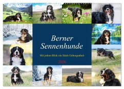 Berner Sennenhunde - Mit jedem Blick ein Stück Geborgenheit (Wandkalender 2026 DIN A2 quer), CALVENDO Monatskalender Berner Sennenhunde - Mit jedem Blick ein Stück Geborgenheit (Wandkalender 2026 DIN A2 quer), CALVENDO Monatskalender