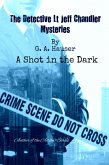 A Shot in the Dark (The Detective Lt Jeff Chandler Mysteries, #5) (eBook, ePUB) A Shot in the Dark (The Detective Lt Jeff Chandler Mysteries, #5) (eBook, ePUB)