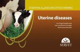 Uterine Diseases. Essential Guides on Cattle Farming