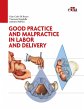 Good Practice and Malpractice in Labor... - Bild 1