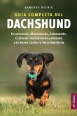 Guía completa del Dachshund Guía completa del Dachshund