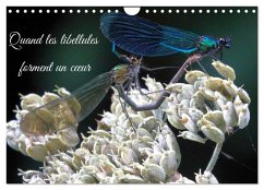Cover Quand les libellules forment un c¿ur (Calendrier mural 2026 DIN A4 vertical), CALVENDO calendrier mensuel