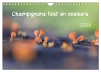Champignons tout en couleurs (Calendrier mural 2026 DIN A4 vertical), CALVENDO calendrier mensuel