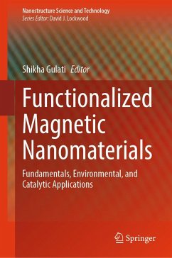 Cover Functionalized Magnetic Nanomaterials (eBook, PDF)
