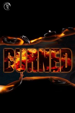 Burned (Dillon Security, #1) (eBook, ePUB) - Schroeder, Melissa