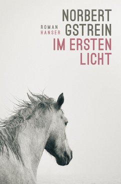 Im ersten Licht - Gstrein, Norbert