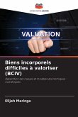 Biens incorporels difficiles à valoriser (BCIV) Biens incorporels difficiles à valoriser (BCIV)