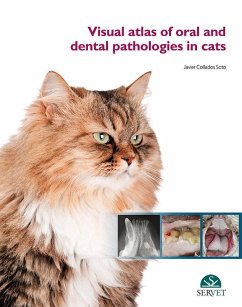 Cover Visual Atlas of Oral and Dental Pathologies in Cats