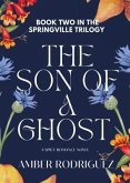 The Son of a Ghost (eBook, ePUB)