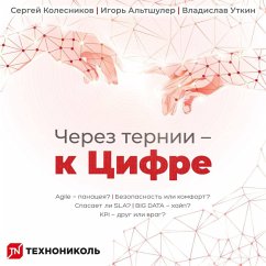 Cover Cherez ternii — k Tsifre (MP3-Download)