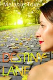 Destiny Lane (eBook, ePUB)