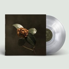 Young Sick Camellia - St. Paul & The Broken Bones