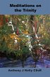 Meditation on the Trinity (eBook, ePUB) - Bild 1