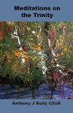 Meditation on the Trinity (eBook, ePUB)