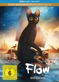 Flow - Limitiertes Mediabook (4K Ultra HD + Blu-ra Flow - Limitiertes Mediabook (4K Ultra HD + Blu-ra