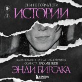 Oni ne poymut eti istorii: Vdohnovlyayuschaya avtobiografiya solista Black Veil Brides Endi Birsaka (MP3-Download)