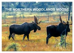 Cover THE NORTHERN WOODLANDS MOOSE (Wall Calendar 2026 DIN A2 landscape), CALVENDO 12 Month Wall Calendar