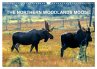 THE NORTHERN WOODLANDS MOOSE (Wall... - Bild 1