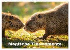 Cover Magische Tiermomente (Wandkalender 2026 DIN A2 quer), CALVENDO Monatskalender