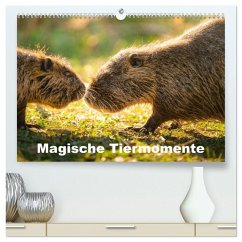 Magische Tiermomente (hochwertiger Premium Wandkalender 2026 DIN A2 quer), Kunstdruck in Hochglanz Magische Tiermomente (hochwertiger Premium Wandkalender 2026 DIN A2 quer), Kunstdruck in Hochglanz