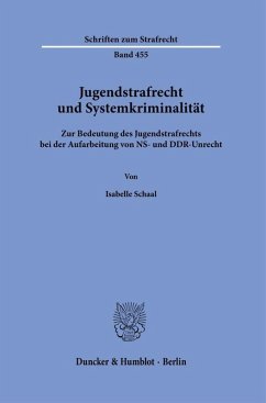 Cover Jugendstrafrecht und Systemkriminalität