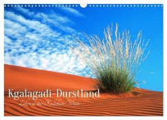 Cover Kgalagadi-Durstland (Wandkalender 2026 DIN A3 quer), CALVENDO Monatskalender